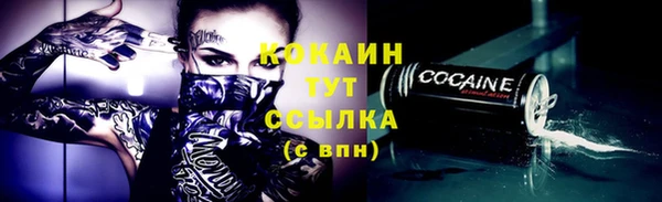 прущий лед Бородино