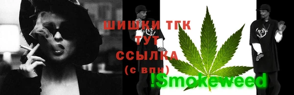 прущий лед Бородино