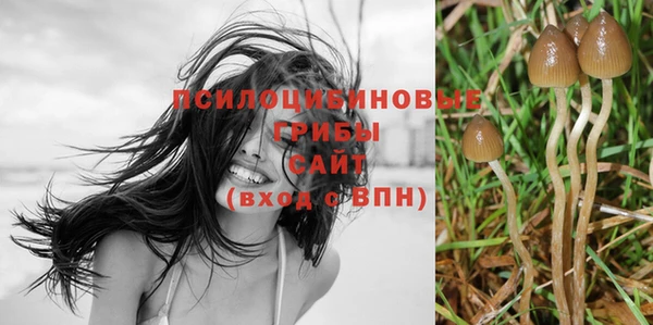 соль курить ск Бронницы