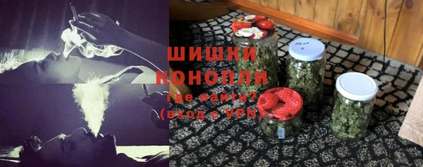 прущий лед Бородино