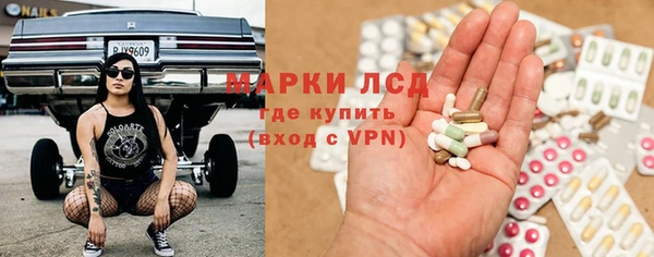 прущий лед Бородино
