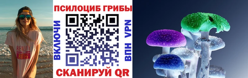 Купить где  Липецк  Галлюциногенные грибы GOLDEN TEACHER 